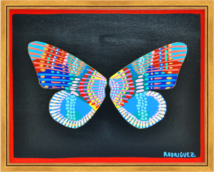 CANTERBURY 'WINGS' - 11x14 ON CANVAS
