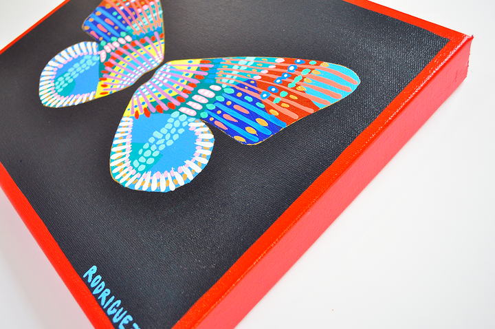 CANTERBURY 'WINGS' - 11x14 ON CANVAS