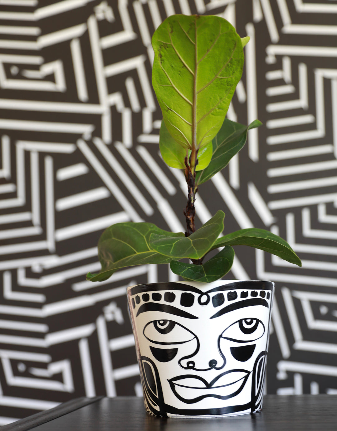 Medium B&W Peace Planter (mb49)