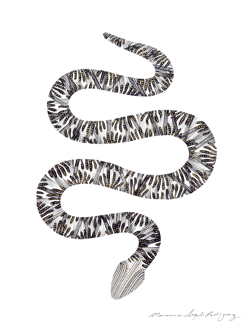 Contemporary art print by Marianne Angeli Rodriguez