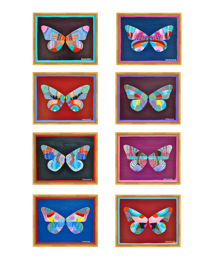 CANTERBURY 'WINGS' - 11x14 ON CANVAS